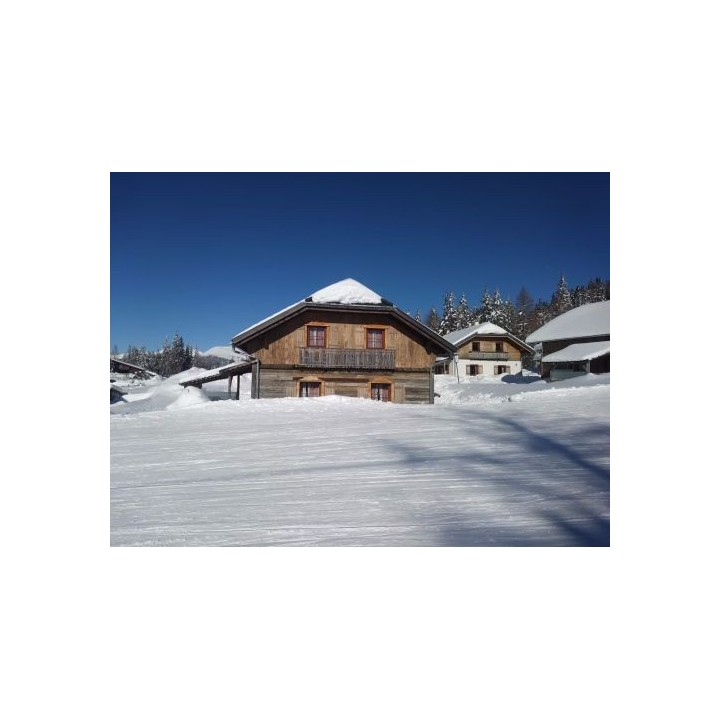 Ferienhaus Almchalet am Katschberg Almchalet - 8-10 Personen