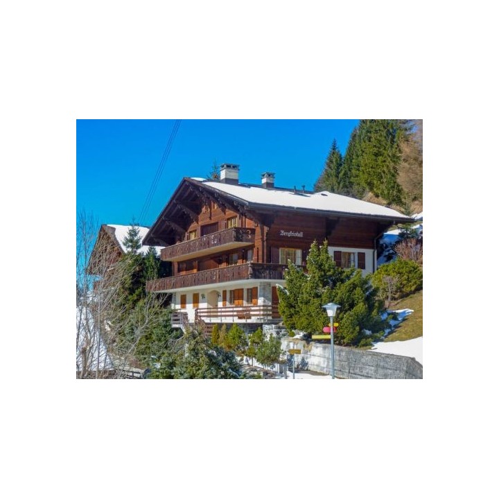 Ferienwohnung Bergkristall  - 4 Personen