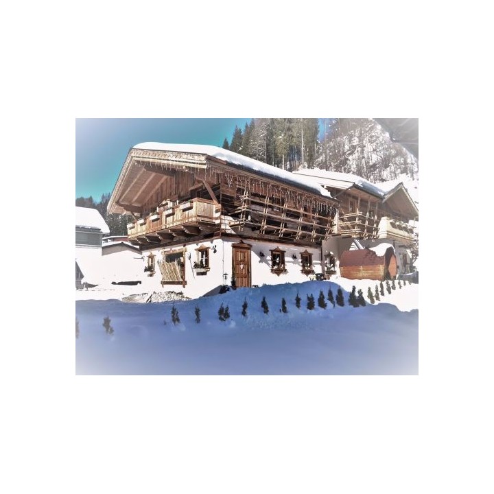 Ferienhaus Almchalet In der Nähe - 12 Personen