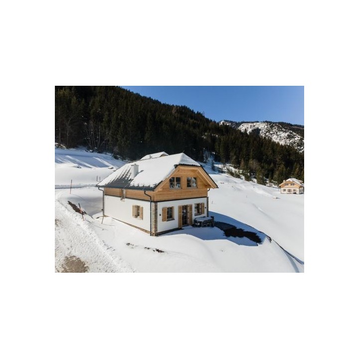 Ferienhaus Riesneralm Im grünen Herzen - 8 Personen