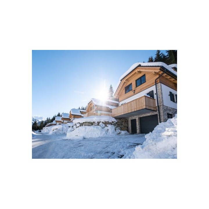 Ferienhaus Riesneralm Edelweiss Lodge - 8-10 Personen