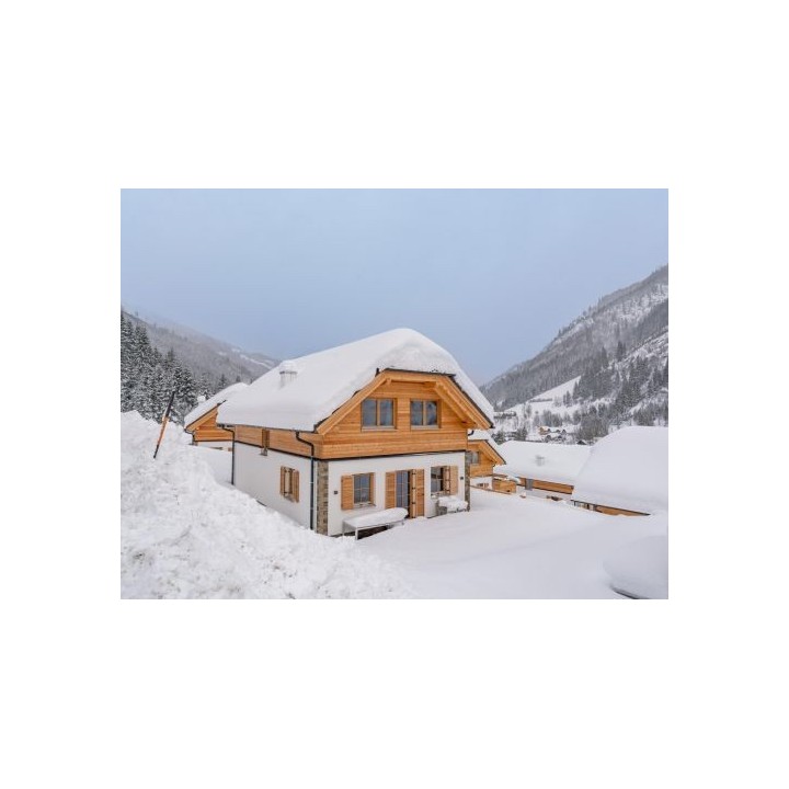 Ferienhaus Riesneralm Pretzel - 8-10 Personen