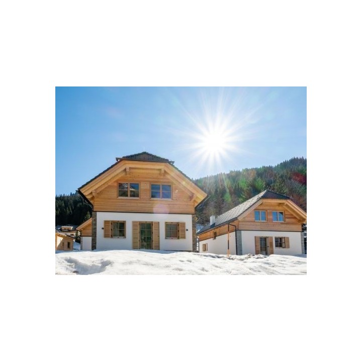 Ferienhaus Riesneralm Steier Hütte - 8-10 Personen