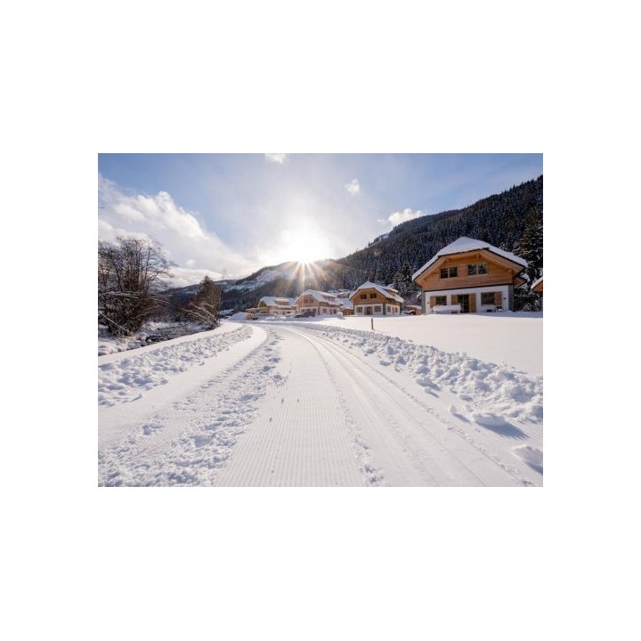 Ferienhaus Riesneralm Auerhahn - 10 Personen