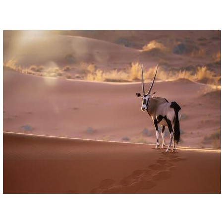 Kombinationsreisen Namibia, Botswana & Simbabwe: Drei faszinierende Länder Afrikas