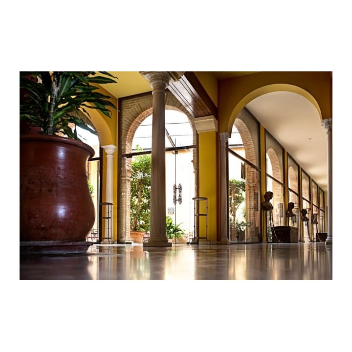 Hotel Alcazar de la Reina