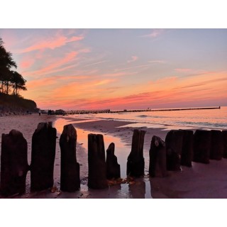 Camping **** "Pod Brzozami" - Unter den Birken