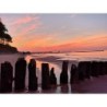 Camping **** "Pod Brzozami" - Unter den Birken