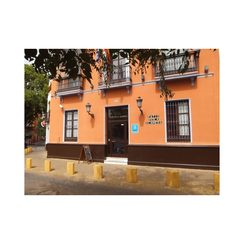 Hotel Patio de la Alameda