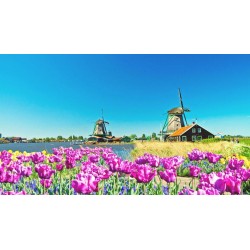 Kreuzfahrten Niederlande: Boat & Bike mit Arkona ab/an Amsterdam