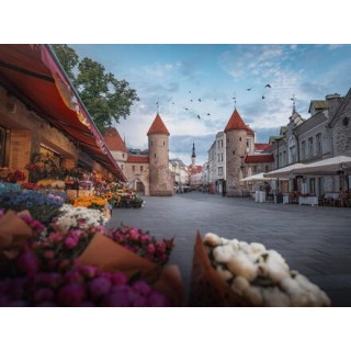 Kombinationsreisen Baltikum: Zwischen Gutshöfen und Nationalparks