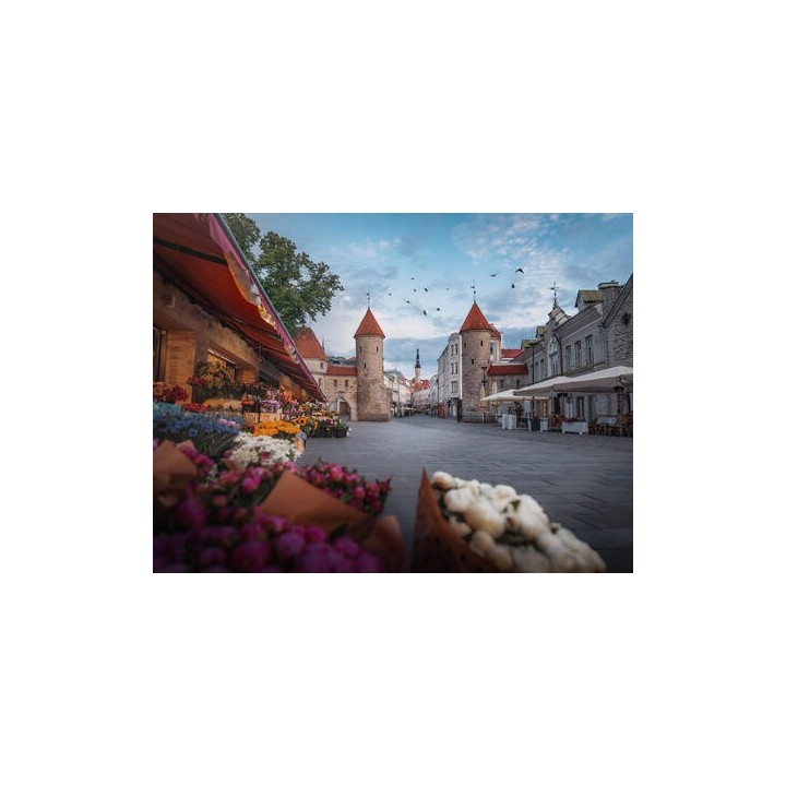 Kombinationsreisen Baltikum: Zwischen Gutshöfen und Nationalparks