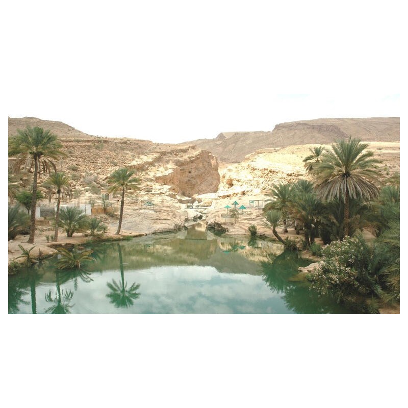 Rundreisen Oman & Sansibar: Von der Wüste an den Traumstrand