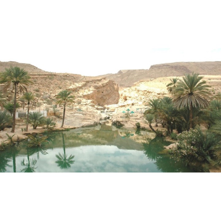 Rundreisen Oman & Sansibar: Von der Wüste an den Traumstrand