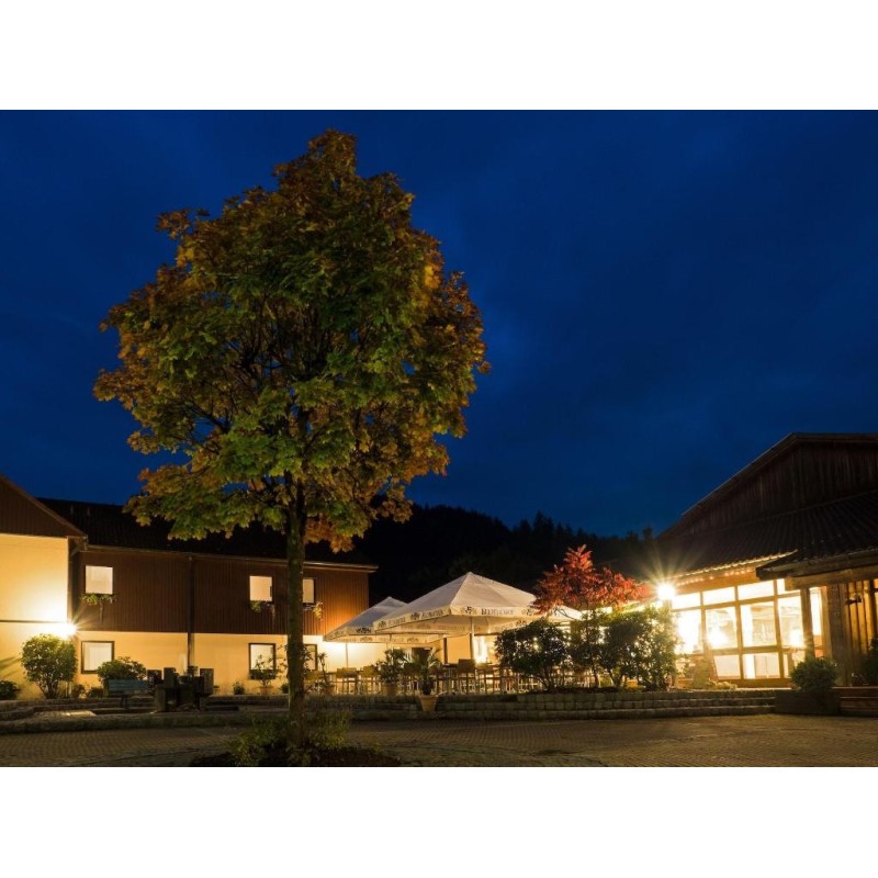 WAGNERS Hotel + Restaurant im Frankenwald