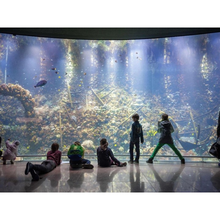 Ibis Antwerpen Centrum