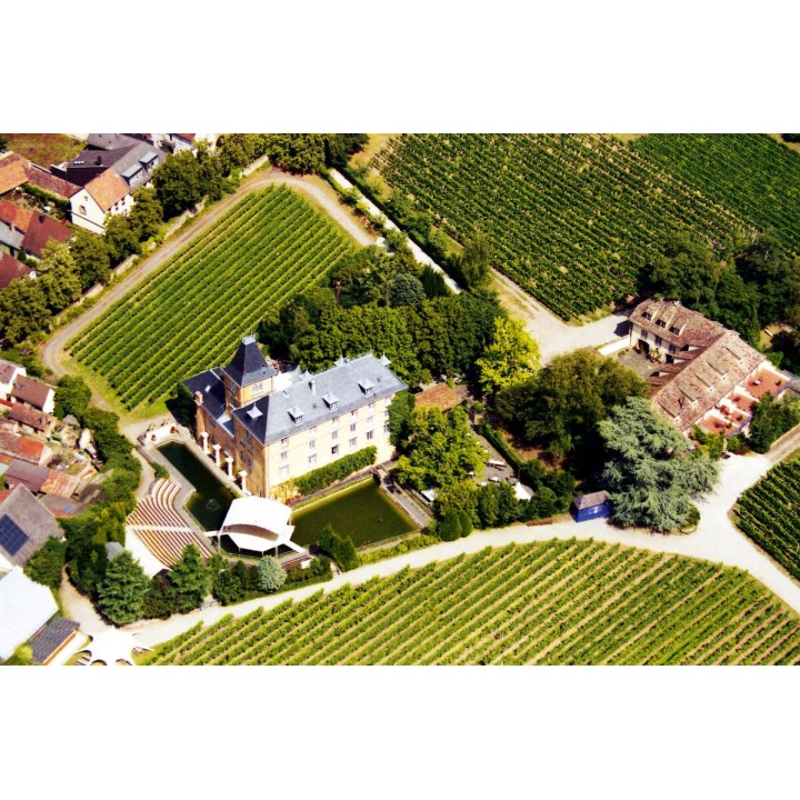 Hotel Schloss Edesheim