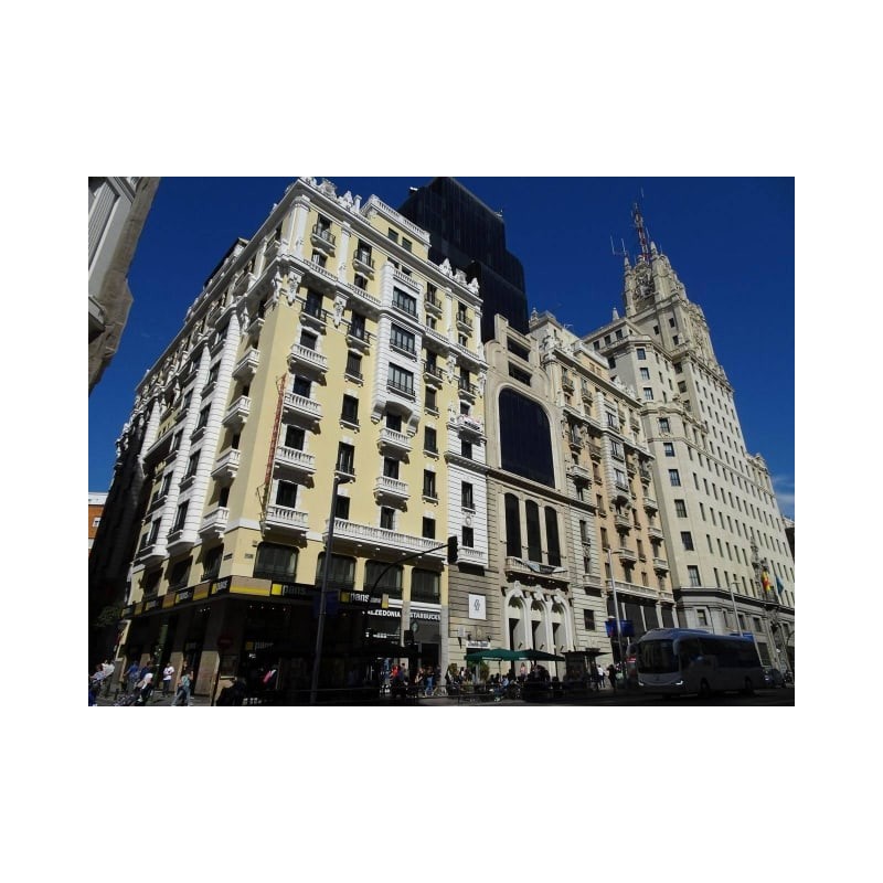 Hotel Petit Palace Triball