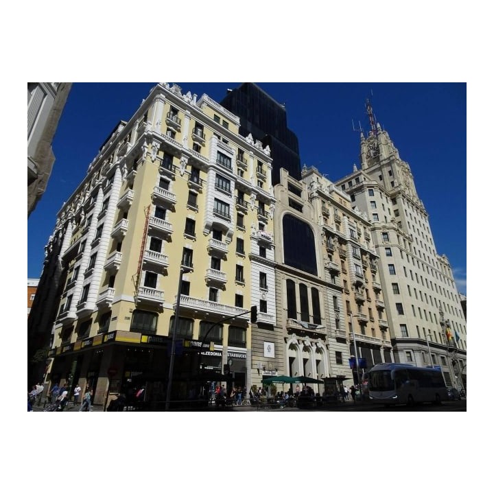 Hotel Petit Palace Triball