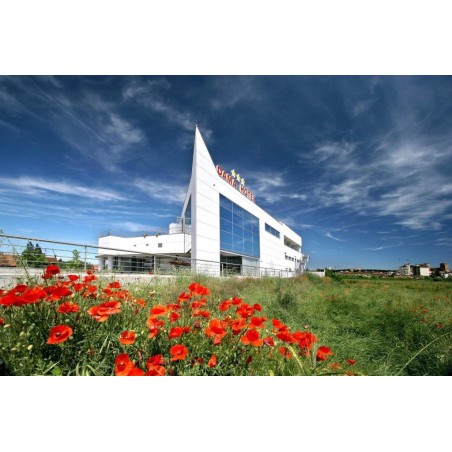 Dama Hotel