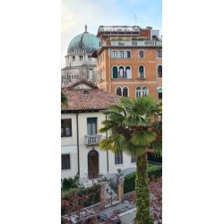 Villa Edera