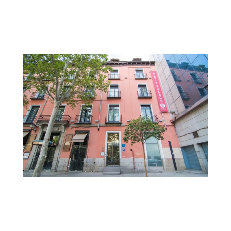 Hotel Petit Palace Plaza del Carmen