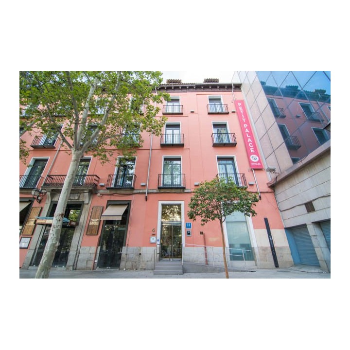 Hotel Petit Palace Plaza del Carmen