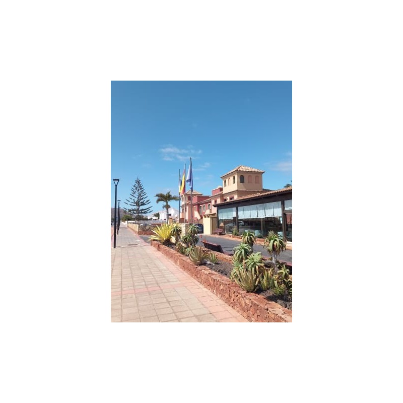 O7 Aloe Corralejo