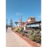 O7 Aloe Corralejo