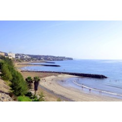 Hotel LIVVO Veril Playa