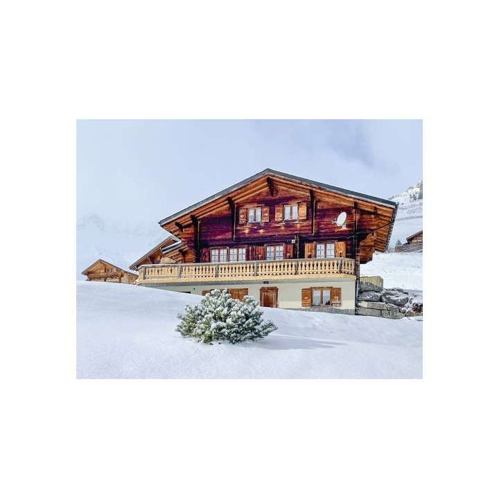 Ferienhaus Le Pacheu  - 12 Personen