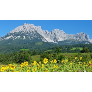 Eigene Anreise Österreich & Südtirol: Geführte Alpenüberquerung ab/an Wilder Kaiser