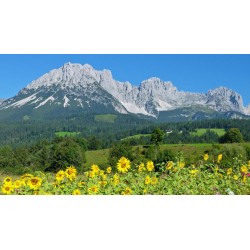 Eigene Anreise Österreich & Südtirol: Geführte Alpenüberquerung ab/an Wilder Kaiser