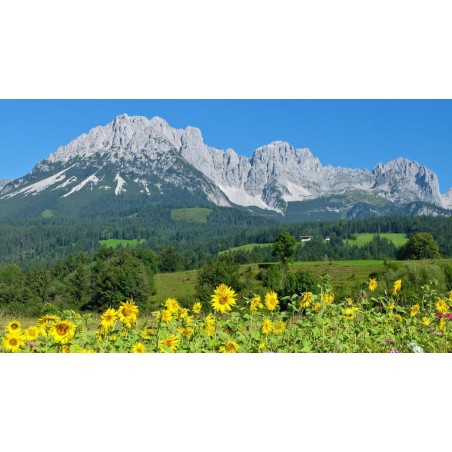 Eigene Anreise Österreich & Südtirol: Geführte Alpenüberquerung ab/an Wilder Kaiser