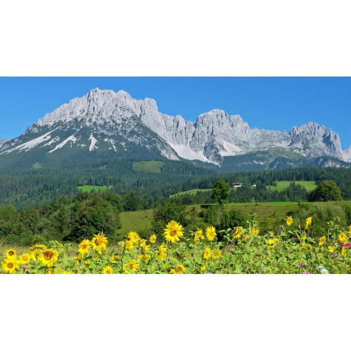 Eigene Anreise Österreich & Südtirol: Geführte Alpenüberquerung ab/an Wilder Kaiser