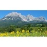 Eigene Anreise Österreich & Südtirol: Geführte Alpenüberquerung ab/an Wilder Kaiser