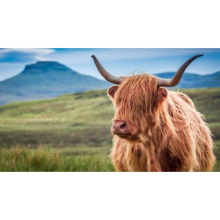 Rundreisen Großbritannien - Schottland: Wilde Landschaften, imposante Burgen & geschichtsträchtige Städte