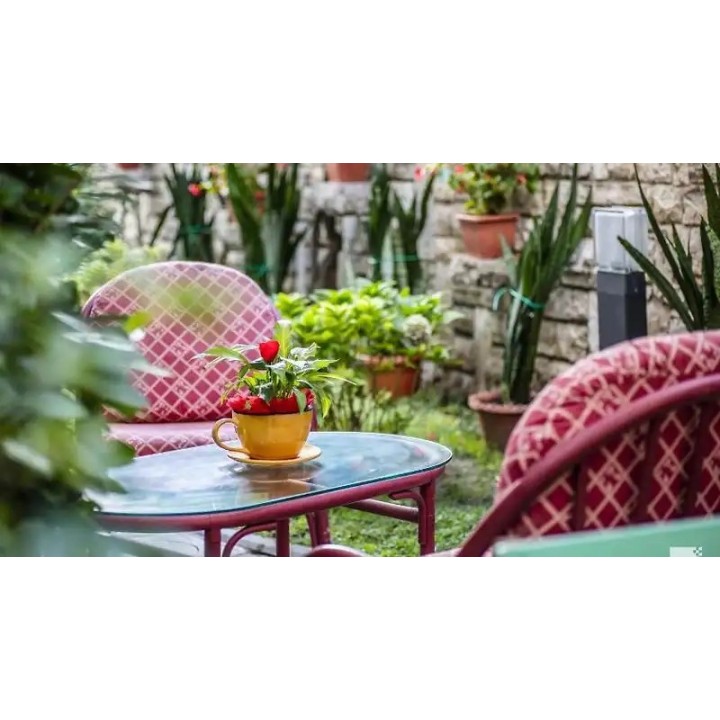 Alessandro Della Spina