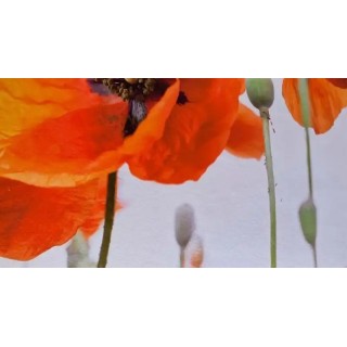 Best Western Crequi Lyon Part Dieu