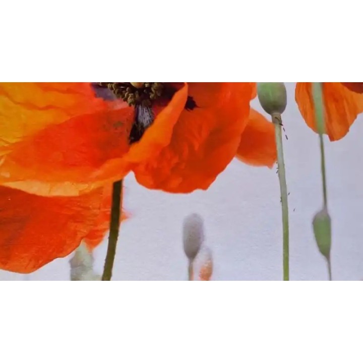 Best Western Crequi Lyon Part Dieu