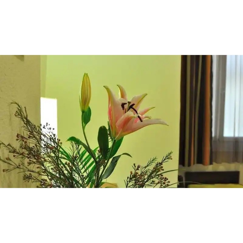 Hostal Ballesta