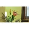 Hostal Ballesta