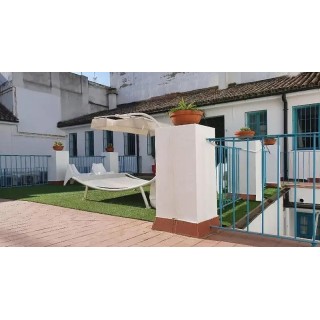 Casual de las Letras Sevilla