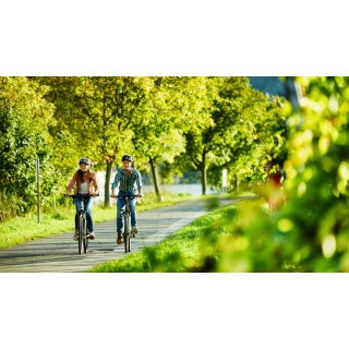 Eigene Anreise Mosel-Radweg: Radreise von Trier bis Koblenz