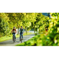 Eigene Anreise Mosel-Radweg: Radreise von Trier bis Koblenz