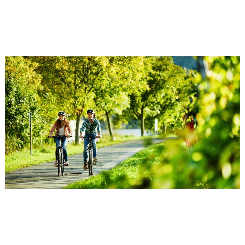 Eigene Anreise Mosel-Radweg: Radreise von Trier bis Koblenz