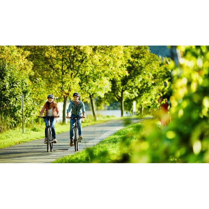 Eigene Anreise Mosel-Radweg: Radreise von Trier bis Koblenz