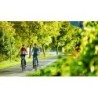 Eigene Anreise Mosel-Radweg: Radreise von Trier bis Koblenz