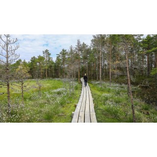 Rundreisen Estland, Lettland & Litauen: Vielfalt erleben: Kultur, Natur und Geschichte im Baltikum