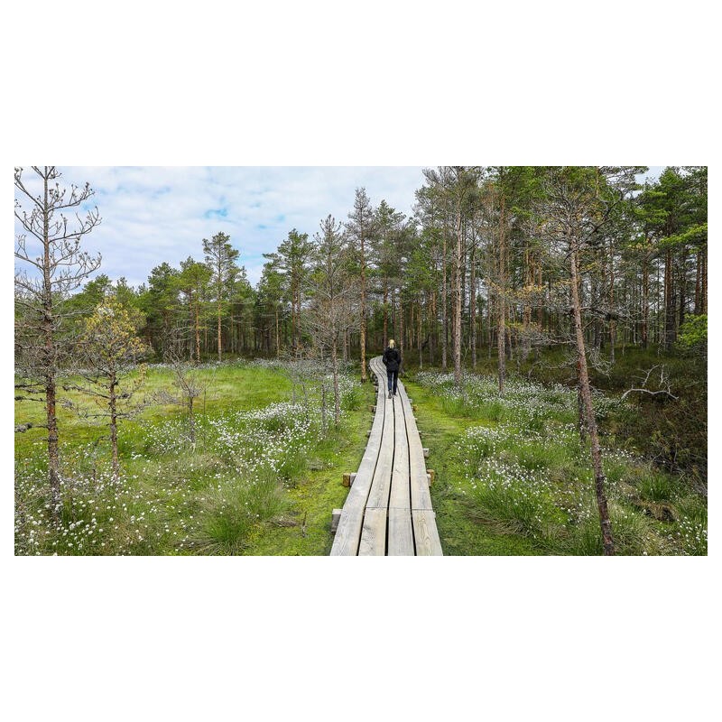 Rundreisen Estland, Lettland & Litauen: Vielfalt erleben: Kultur, Natur und Geschichte im Baltikum